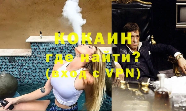 дживик Касимов