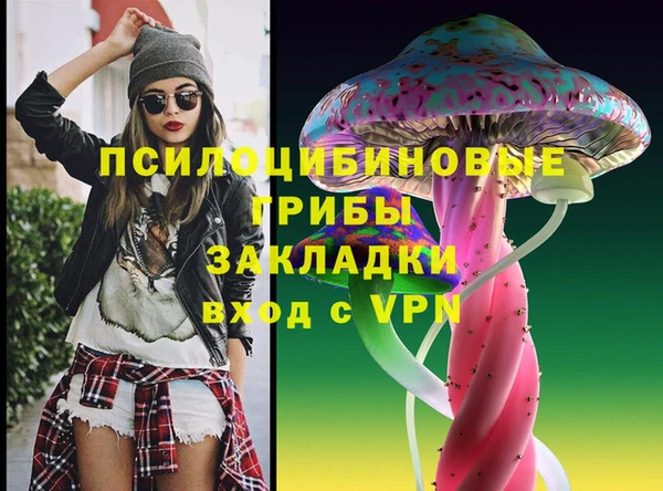 Альфа ПВП Каменногорск
