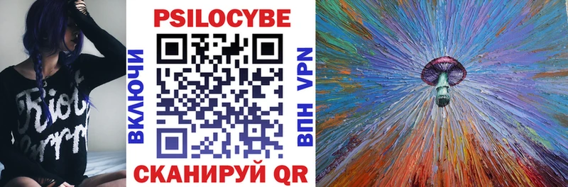 Псилоцибиновые грибы Cubensis  Купить закладки  Гусь-Хрустальный 